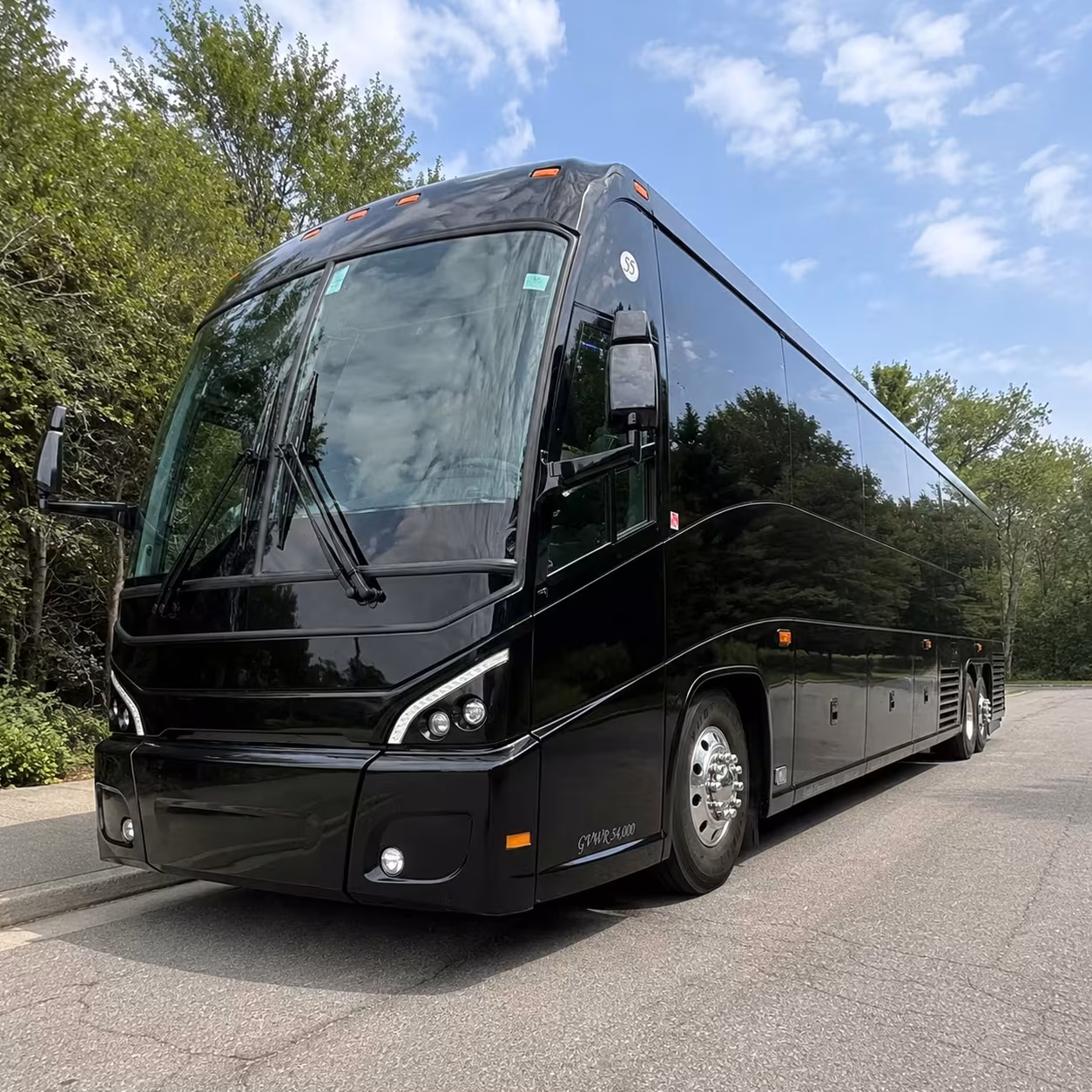 clearwater transportation to port tampa bay cruise terminals